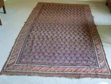 An antique rug with boteh medalions