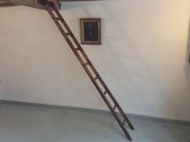 19thC library ladder