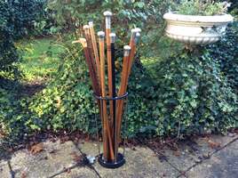 A collection of walking canes