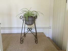 A wrought iron and wirework plant stand